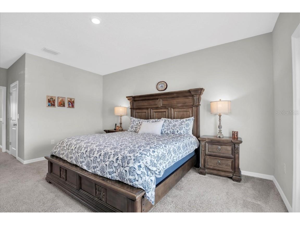 13709 Stansil Avenue Odessa FL 33556 W7880079 image26