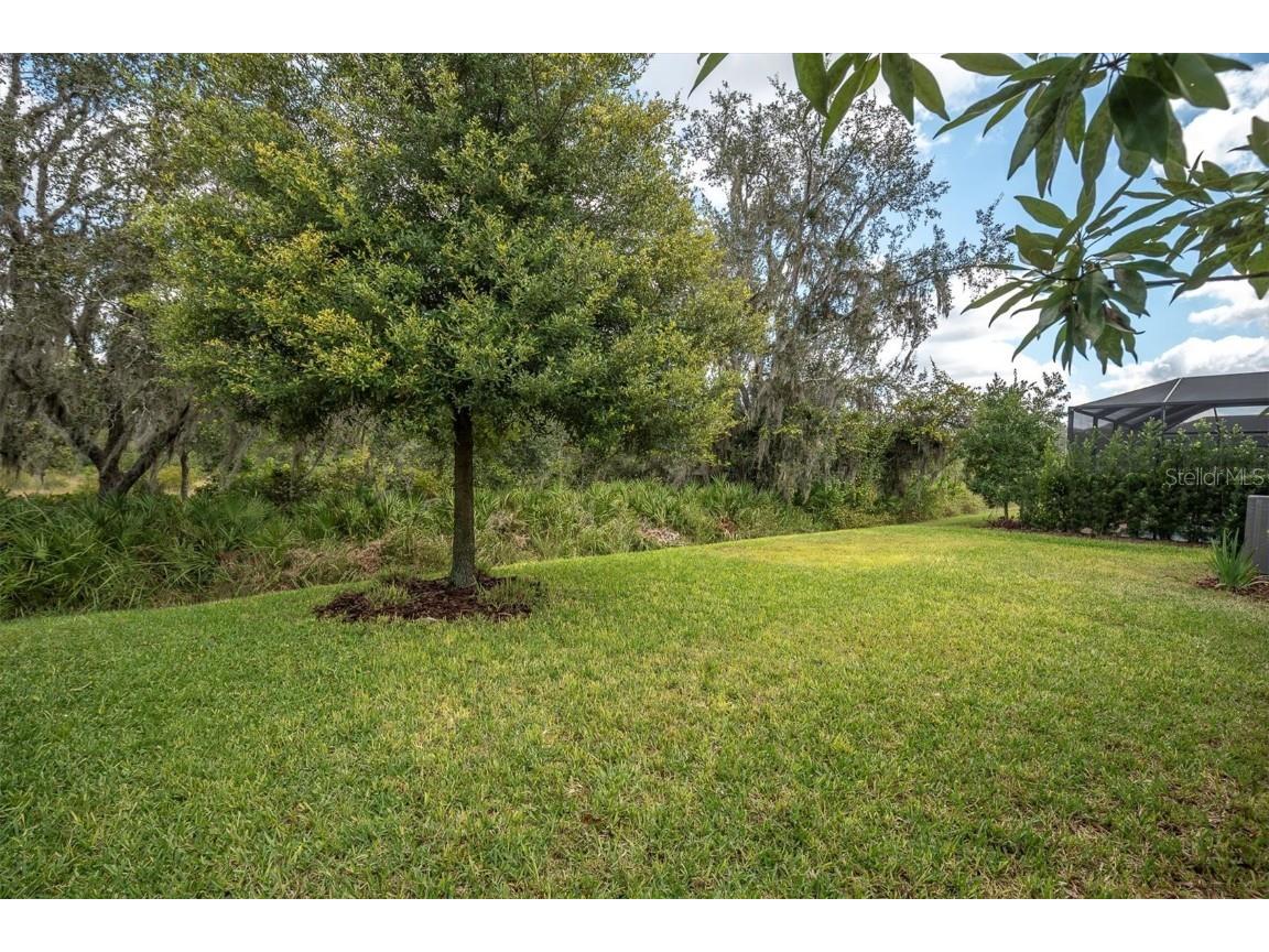 13709 Stansil Avenue Odessa FL 33556 W7880079 image4