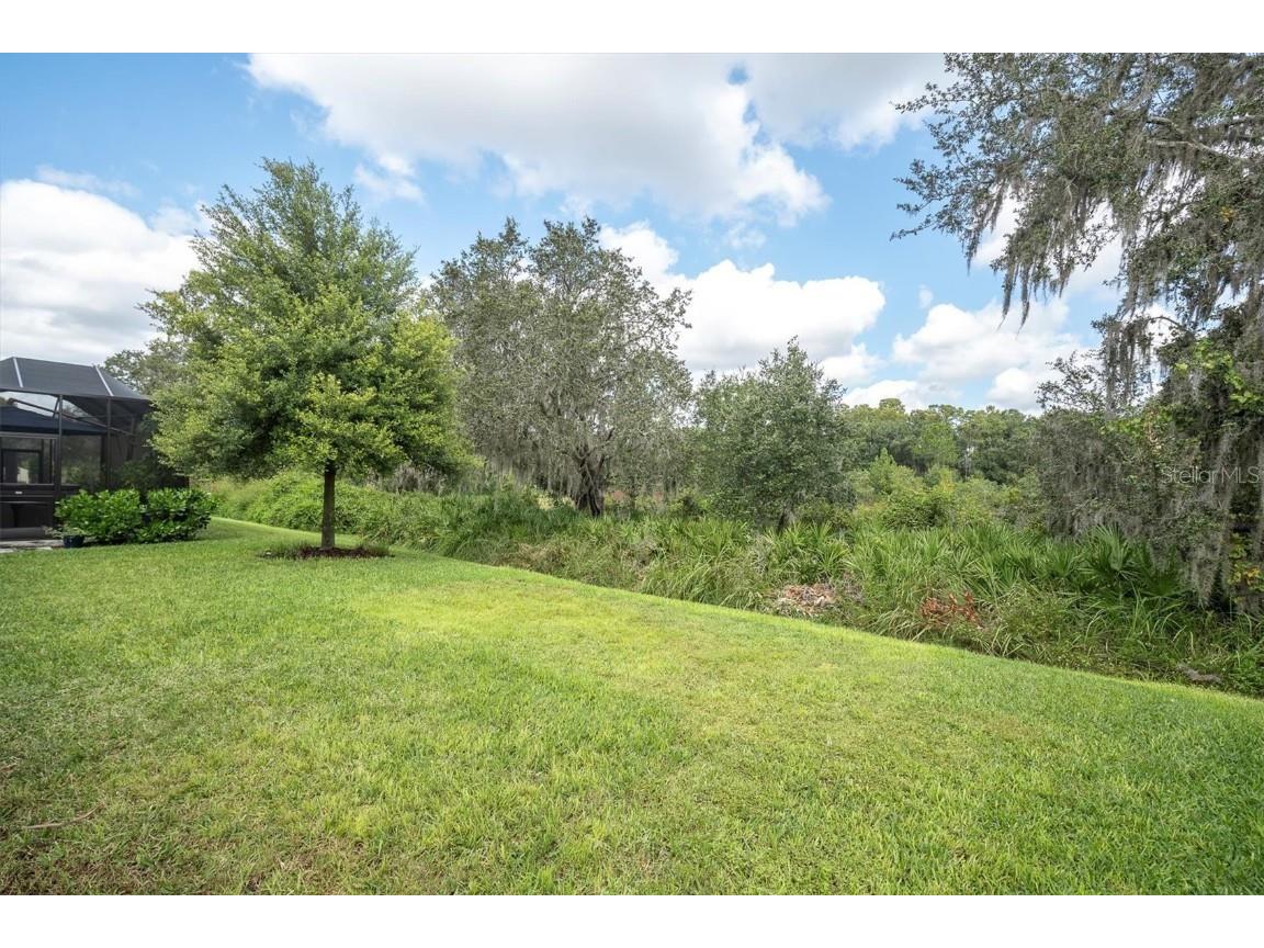 13709 Stansil Avenue Odessa FL 33556 W7880079 image47