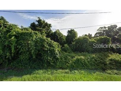 1371 Abagail Drive Deltona FL 32725 O6109994 image1