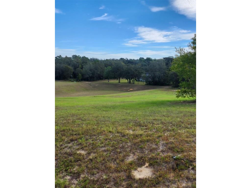 1371 E Triple Crown Loop Hernando FL 34442 S5100066 image1