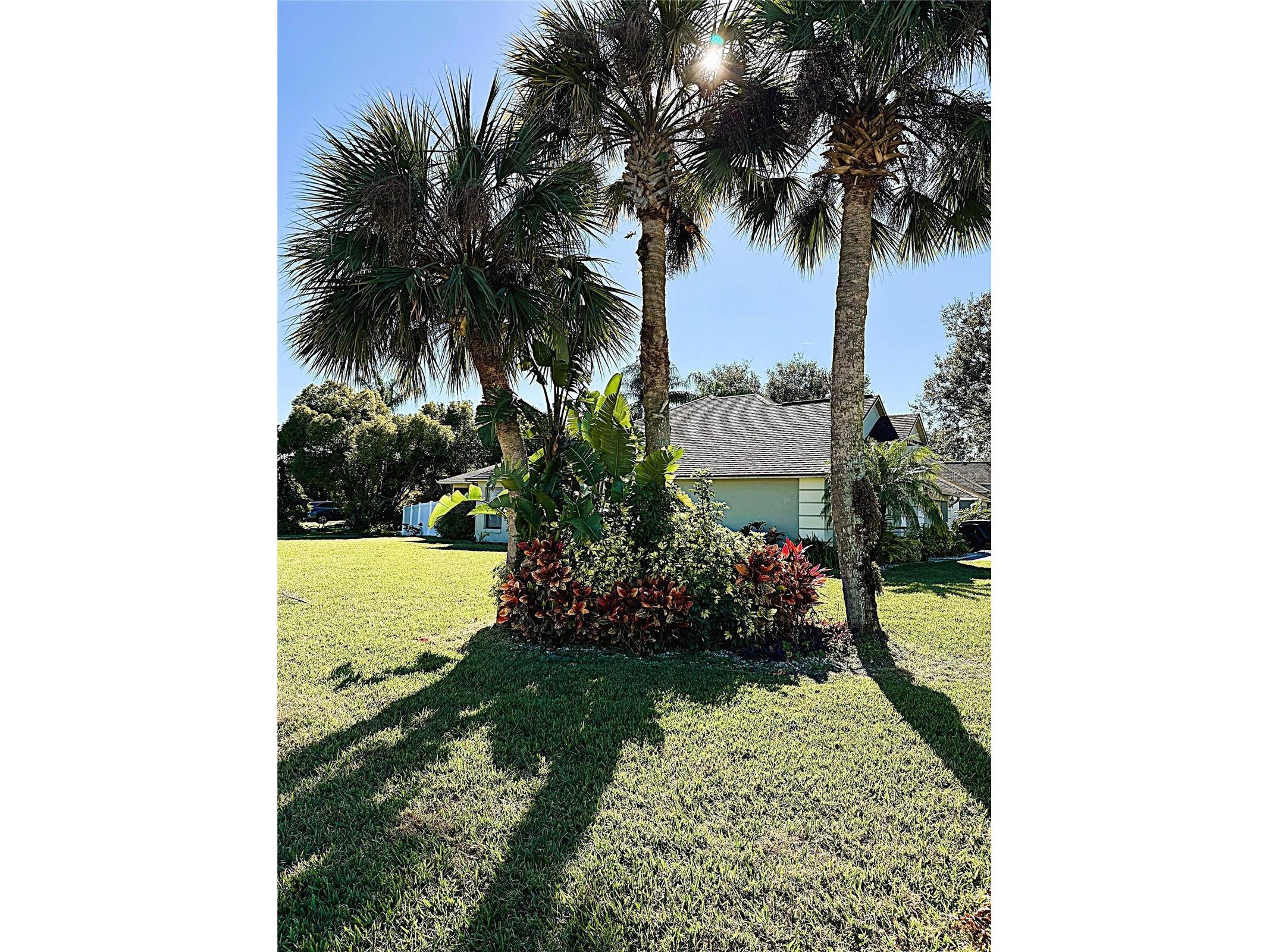 1371 Hyde Park Drive Port Orange FL 32128 V4947011 image3