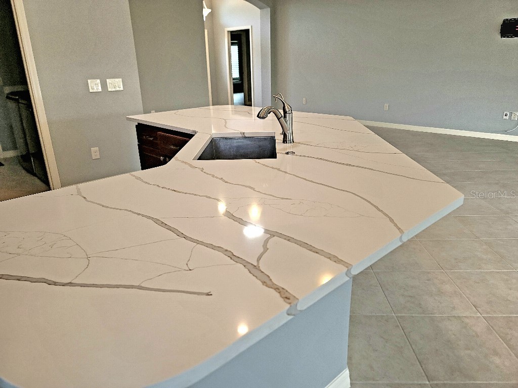 1371 Owl Drive The Villages FL 32163 TB8445642 image6