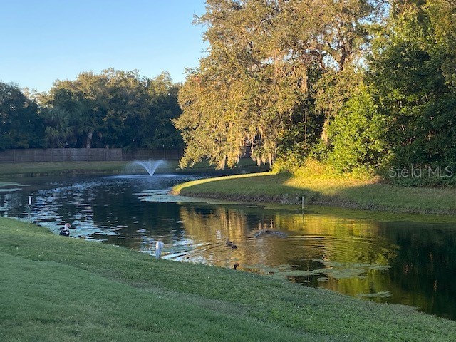 1371 Vine Street Daytona Beach FL 32117 FC314017 image3