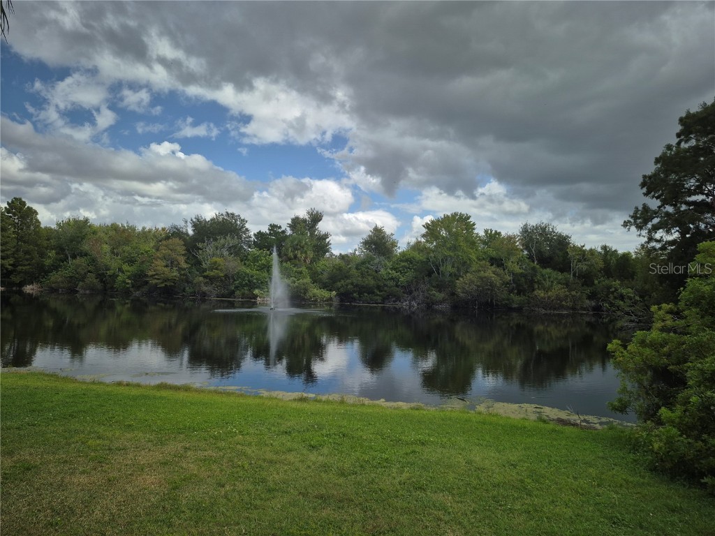 13710 Whitby Road Hudson FL 34667 TB8434936 image21