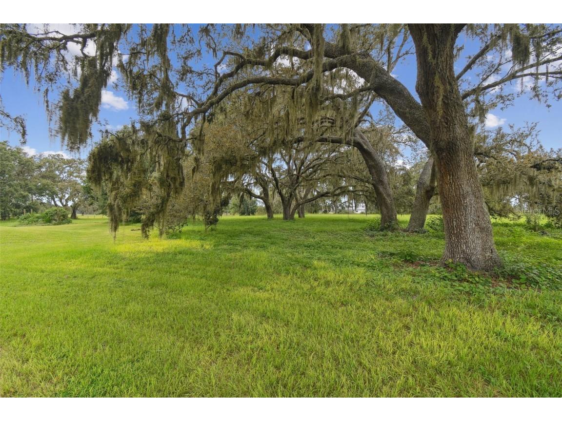 13711 Lussier Lane Spring Hill FL 34610 TB8407991 image22