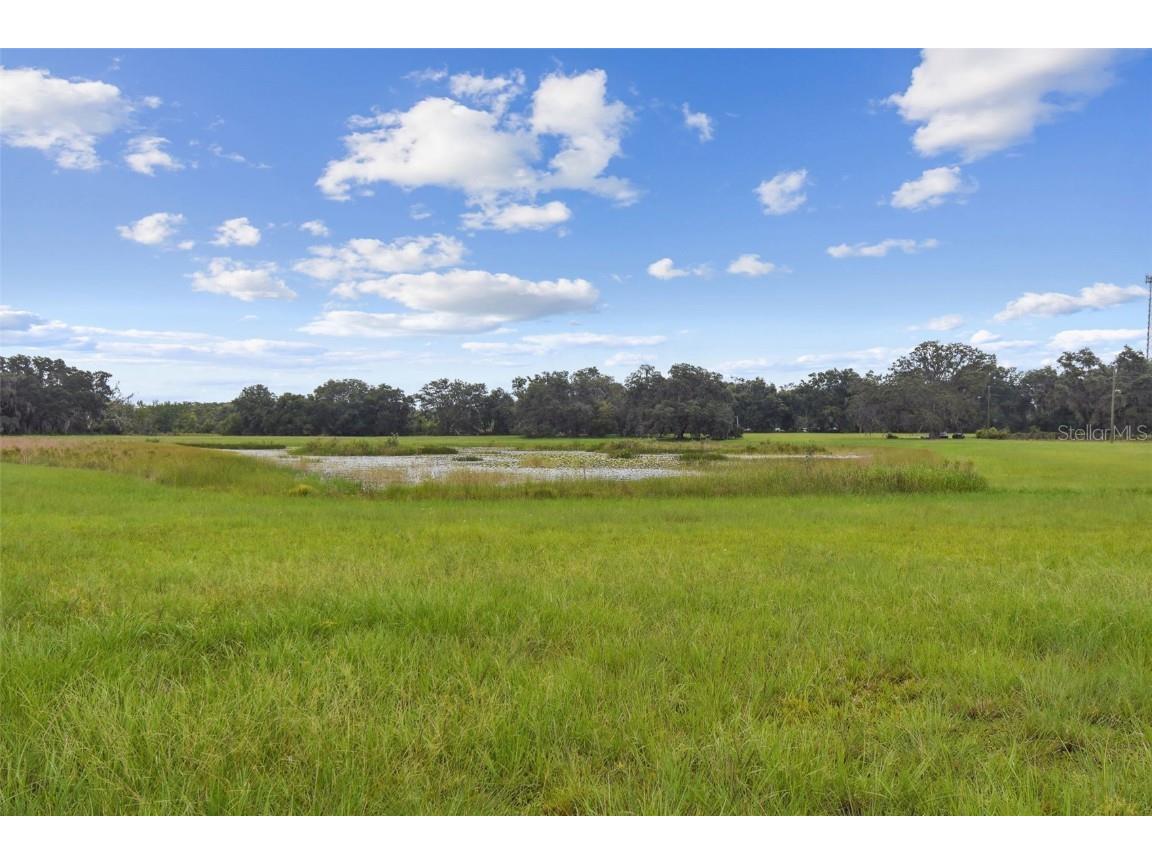 13711 Lussier Lane Spring Hill FL 34610 TB8407991 image23