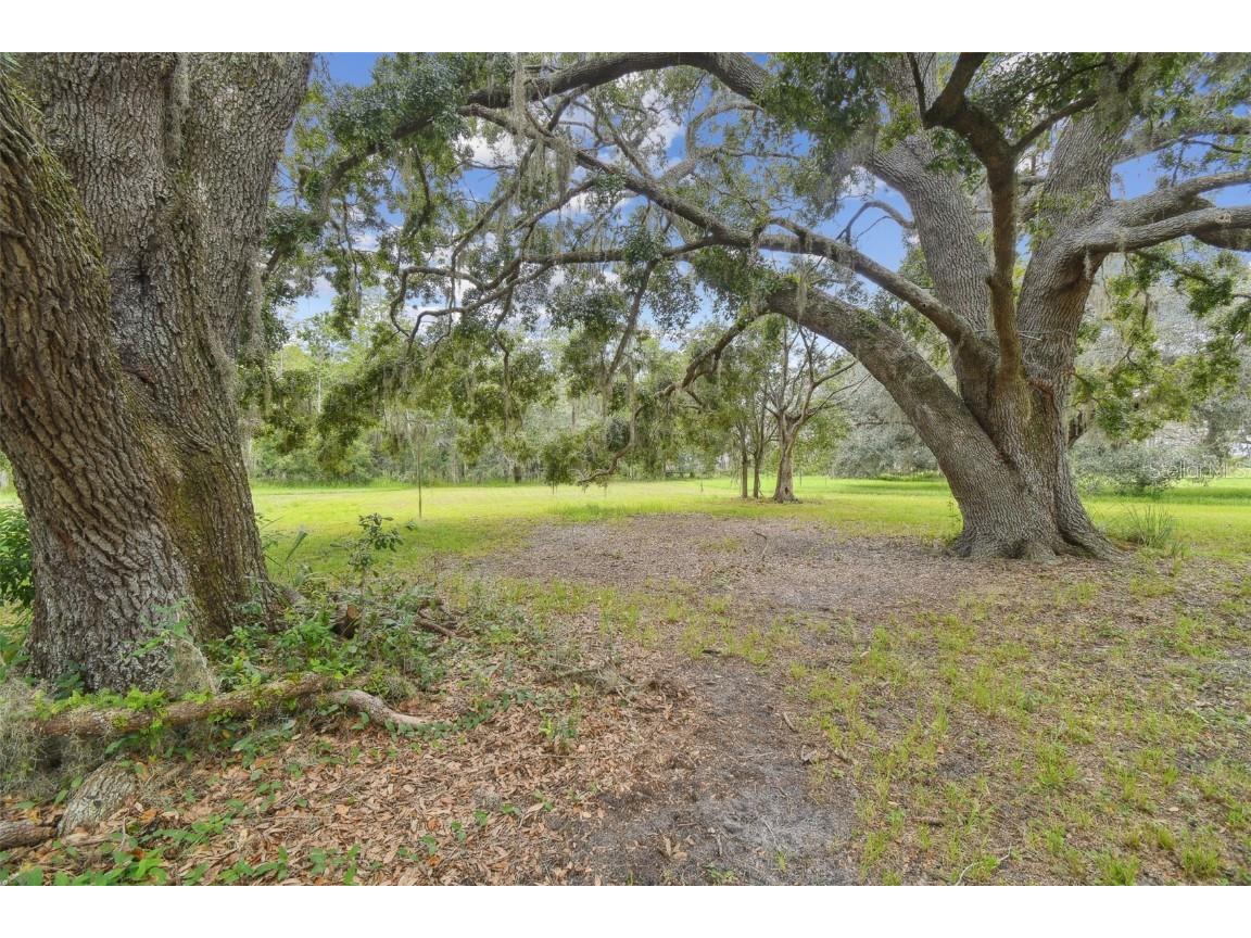 13711 Lussier Lane Spring Hill FL 34610 TB8407991 image33