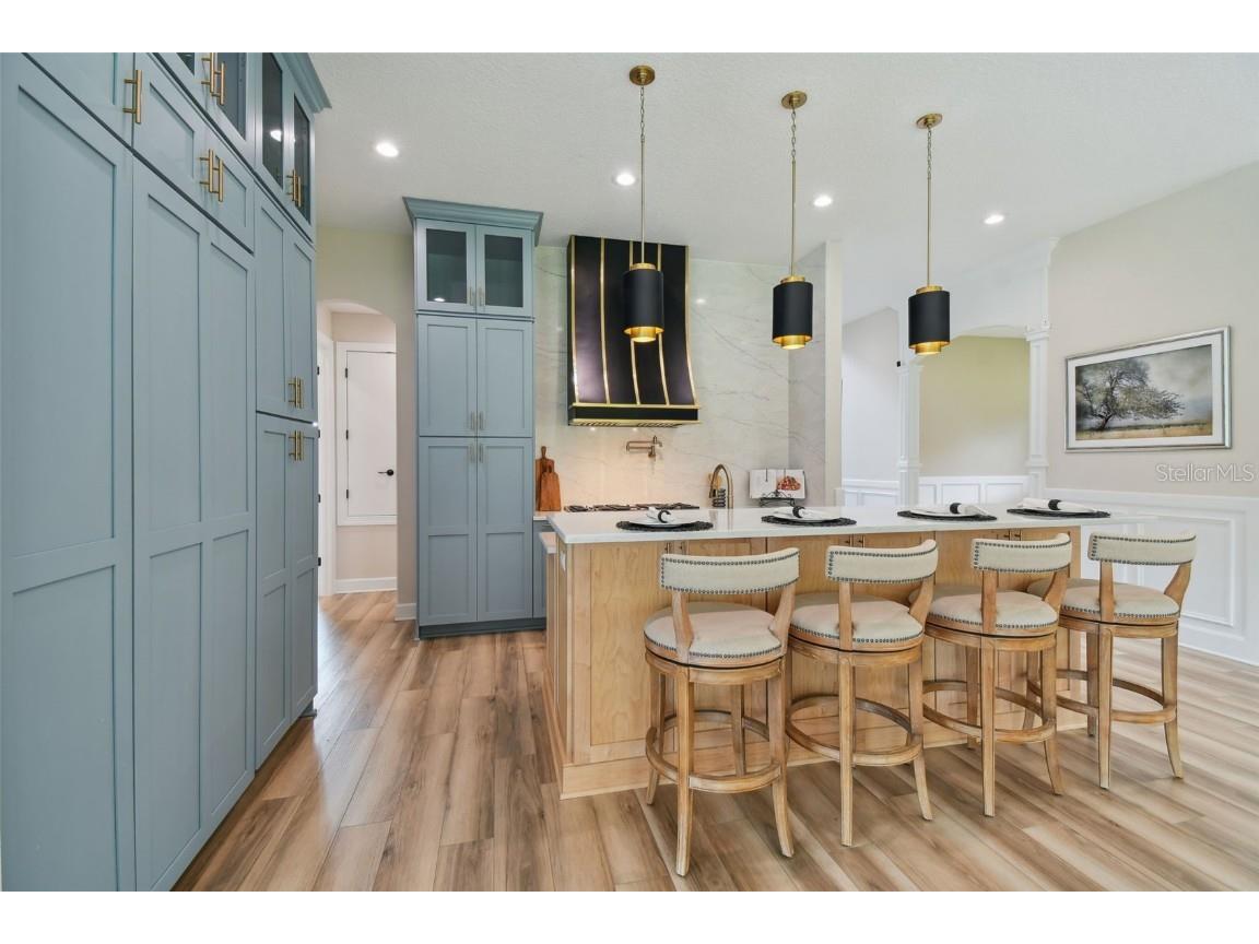 13711 Lussier Lane Spring Hill FL 34610 TB8407991 image40