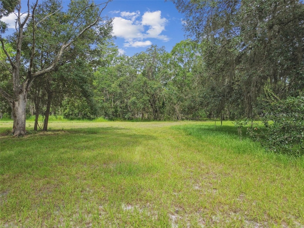 13711 Lussier Lane Spring Hill FL 34610 TB8407991 image97