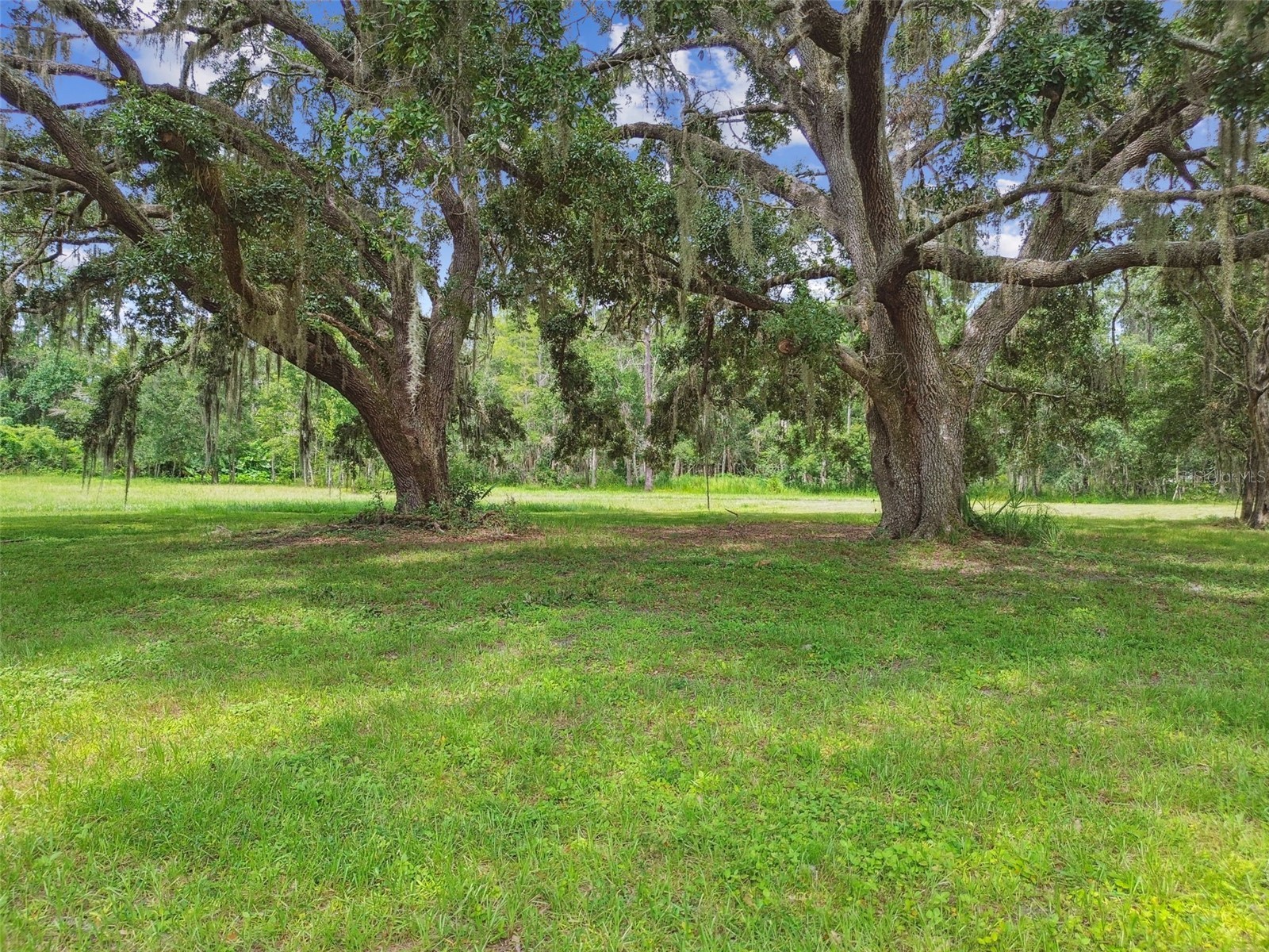 13711 Lussier Lane Spring Hill FL 34610 TB8471564 image83