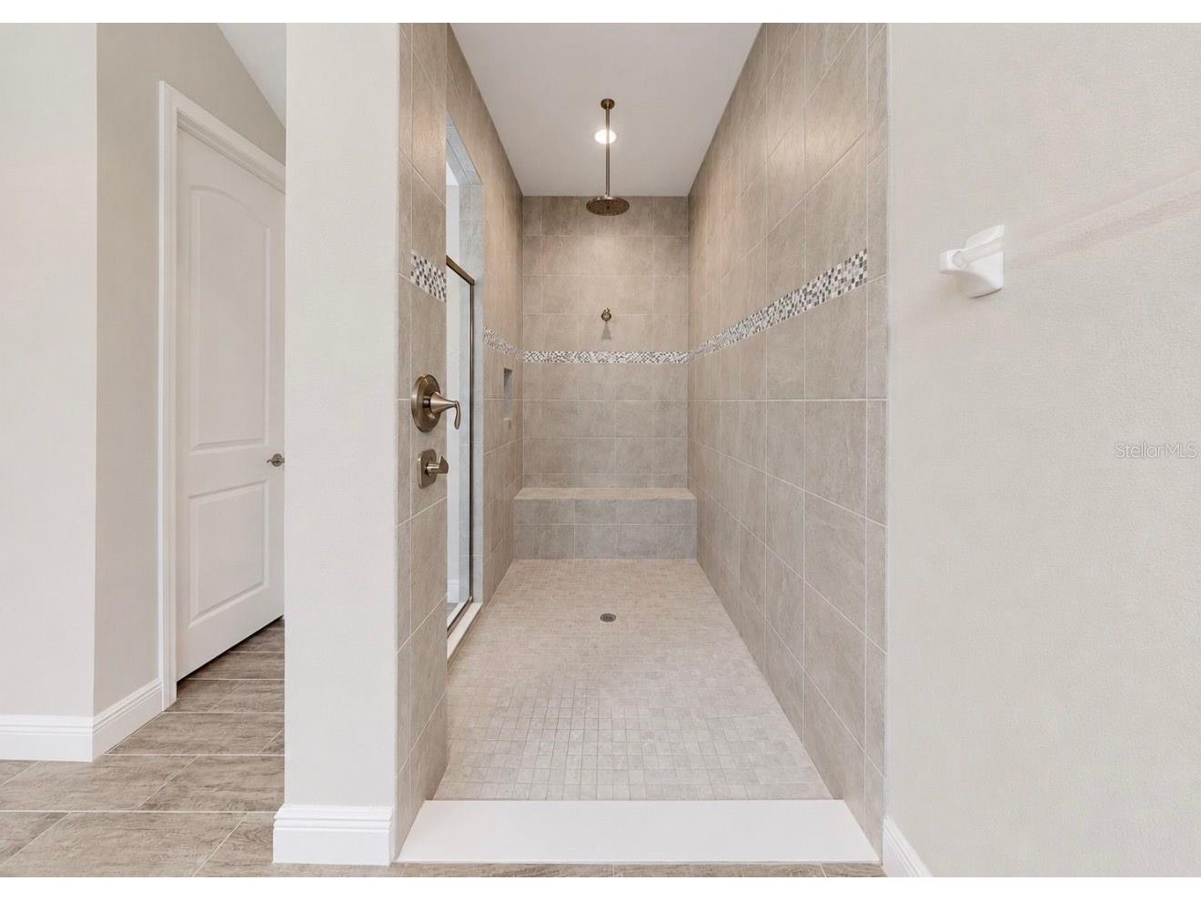 13712 Osprey Fern Lane Riverview FL 33569 TB8519882 image41