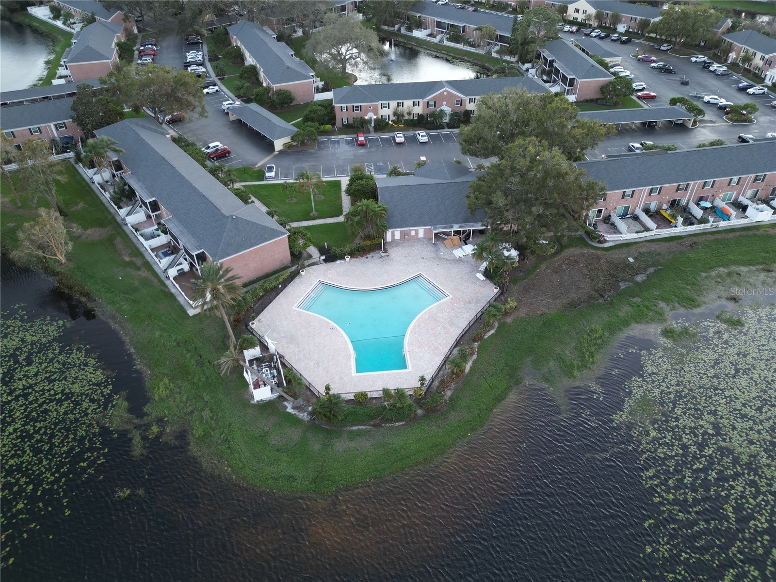 13713 Juniper Blossom Drive Tampa FL 33618 TB8436559 image21