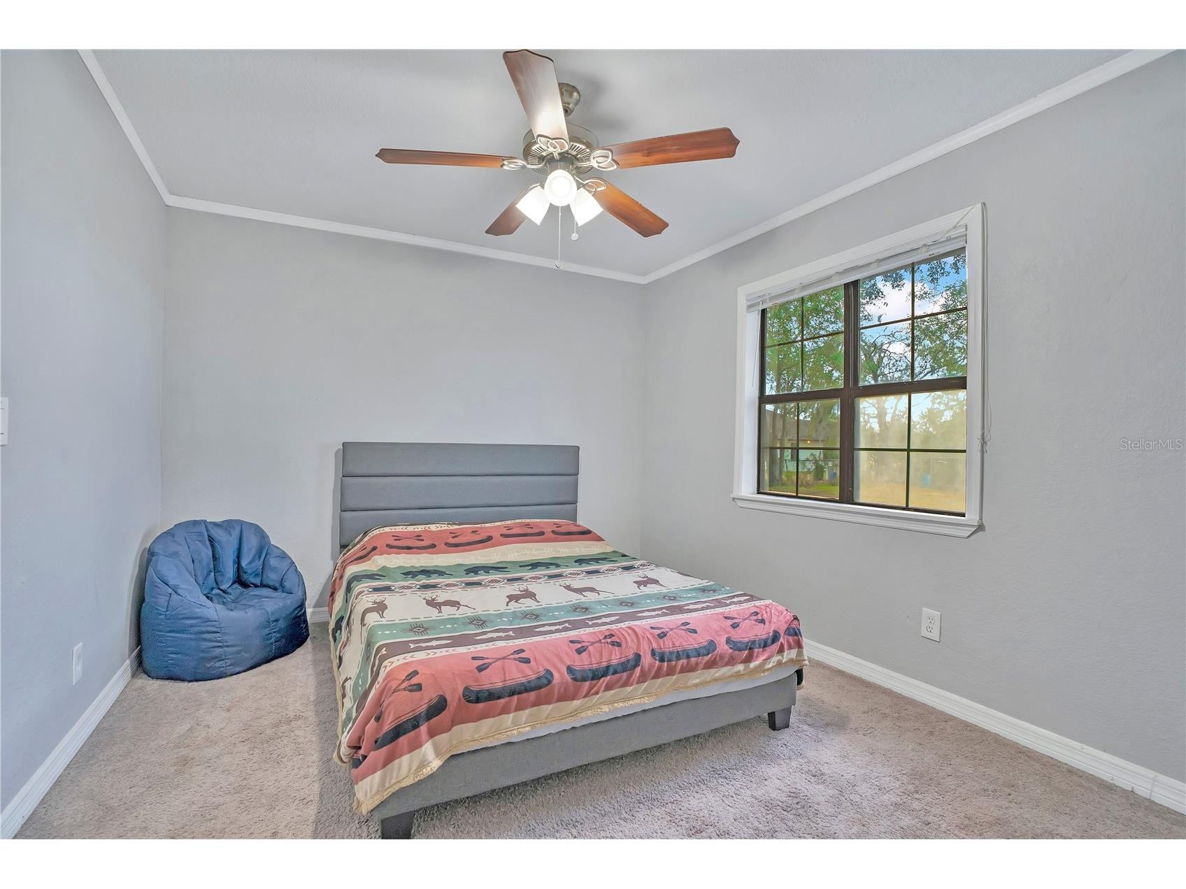 13713 Walden Sheffield Road Dover FL 33527 L4958476 image21