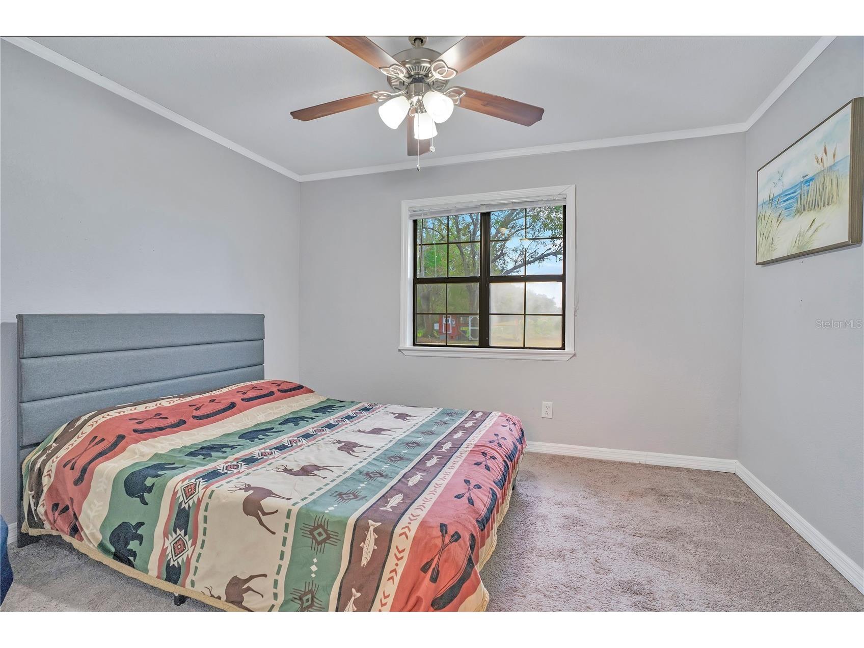13713 Walden Sheffield Road Dover FL 33527 L4958476 image22