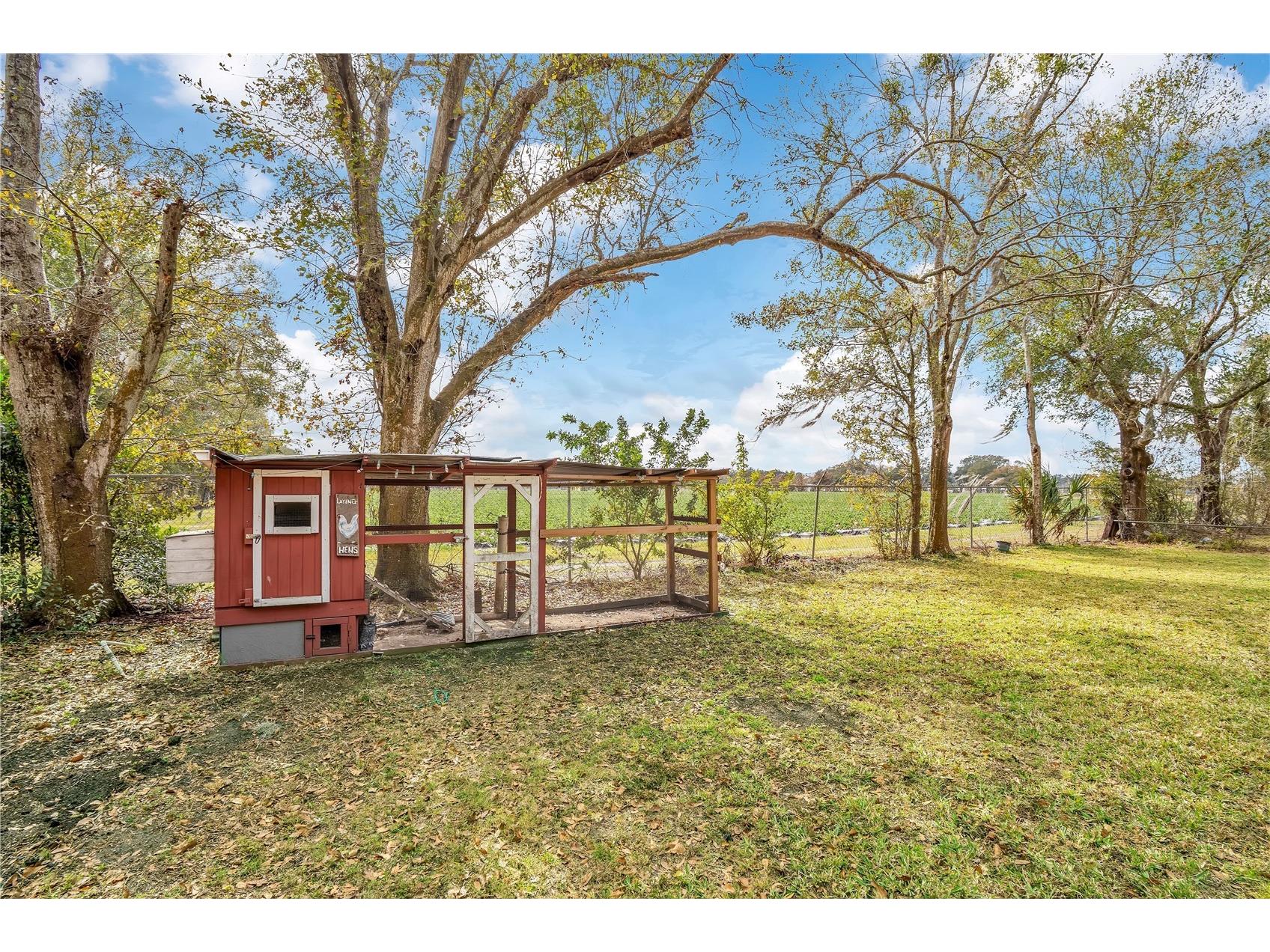 13713 Walden Sheffield Road Dover FL 33527 L4958476 image33