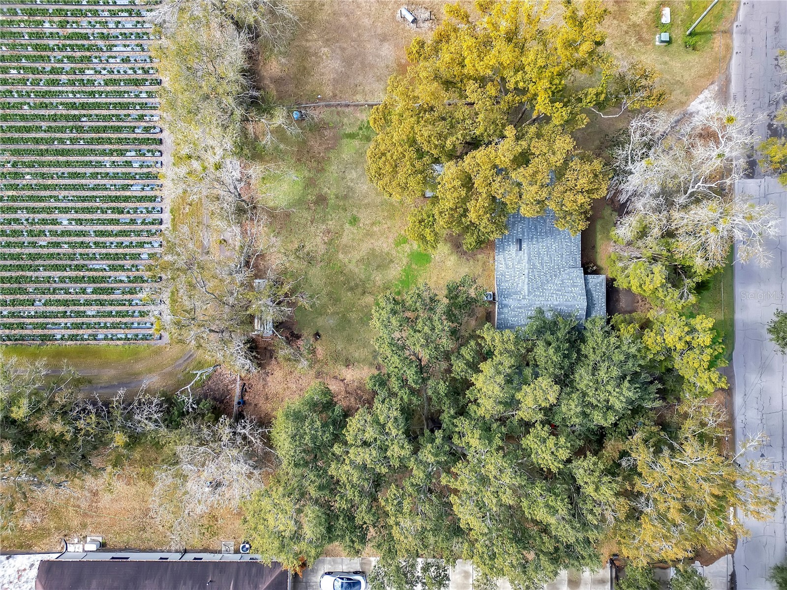 13713 Walden Sheffield Road Dover FL 33527 L4958476 image38