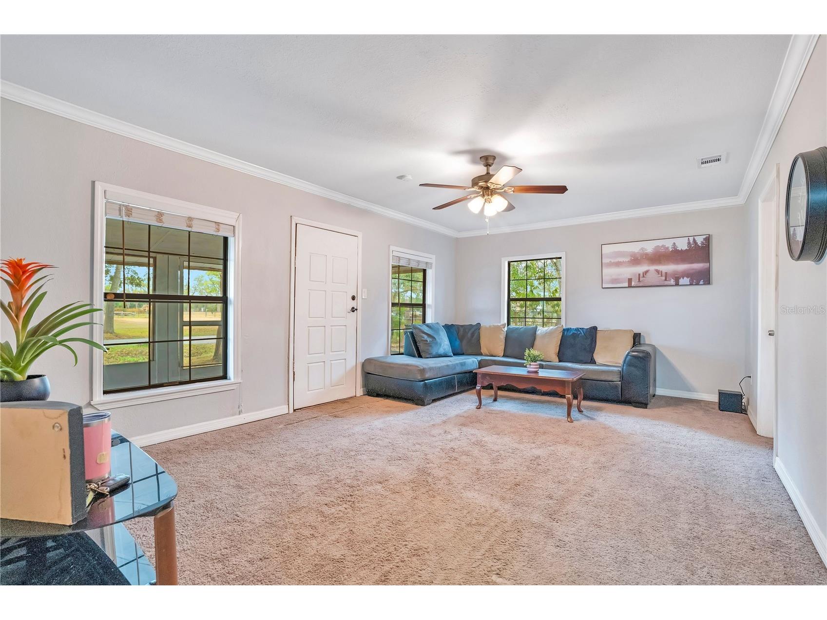 13713 Walden Sheffield Road Dover FL 33527 L4958476 image6