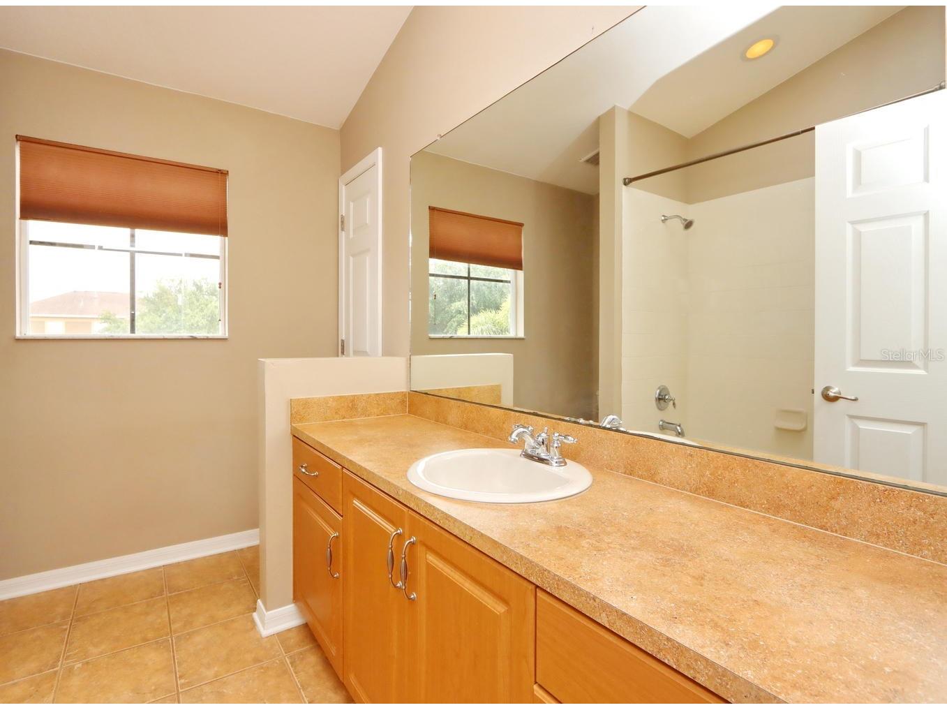 13714 Artesa Bell Drive Riverview FL 33579 TB8488124 image13