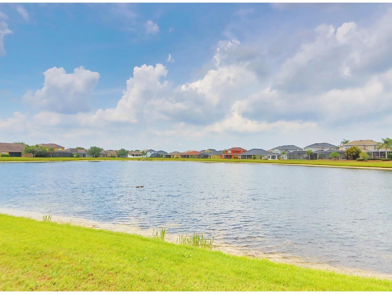 13714 Artesa Bell Drive Riverview FL 33579 TB8488124 image27