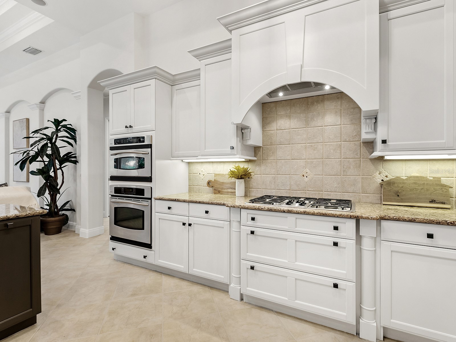 13716 Red Rock Place Lakewood Ranch FL 34202 A4695070 image35