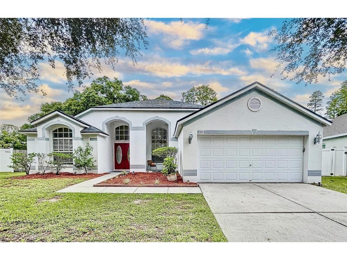 13717 Antler Point Drive Tampa FL 33626 T3479540 image1