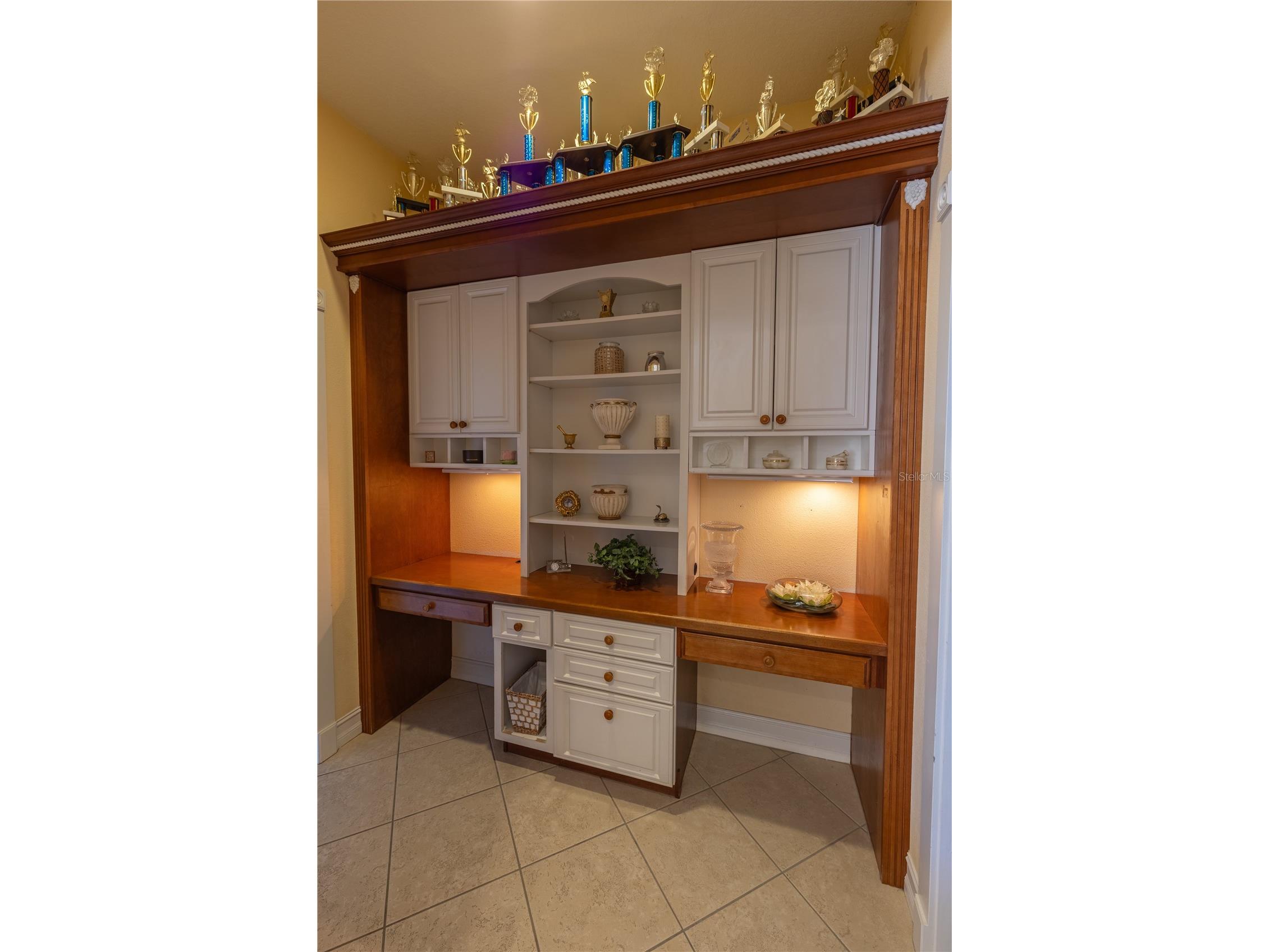 13717 Canterfield Drive Riverview FL 33579 TB8471297 image31