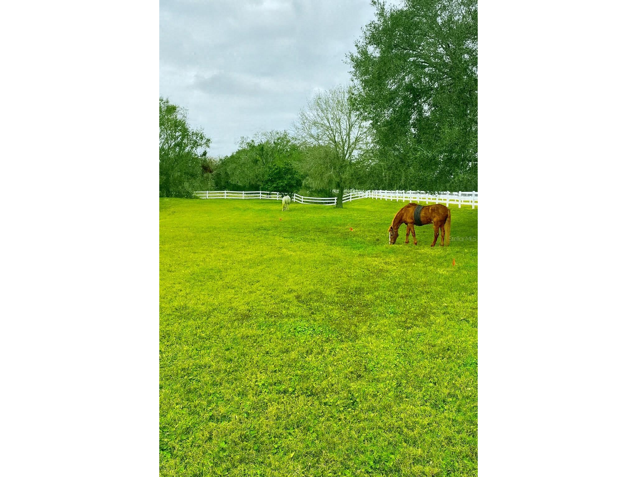 13717 Canterfield Drive Riverview FL 33579 TB8471297 image44