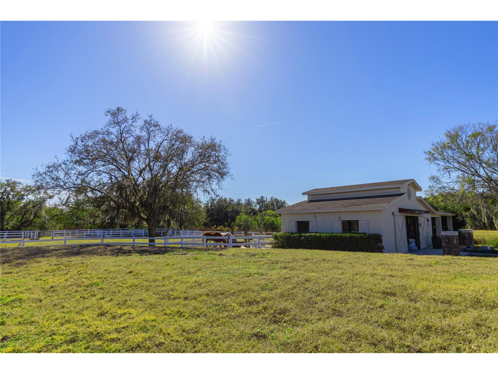 13717 Canterfield Drive Riverview FL 33579 TB8471297 image45