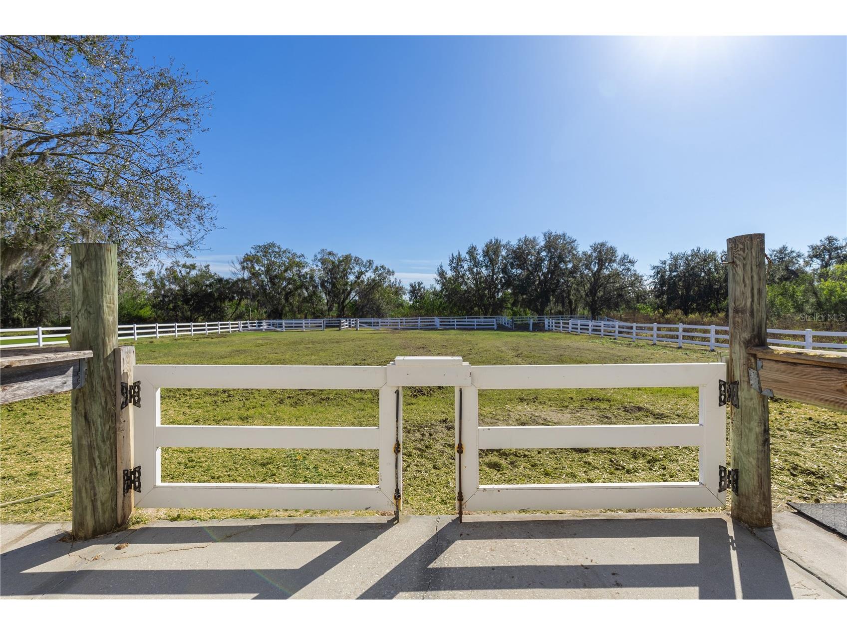 13717 Canterfield Drive Riverview FL 33579 TB8471297 image48