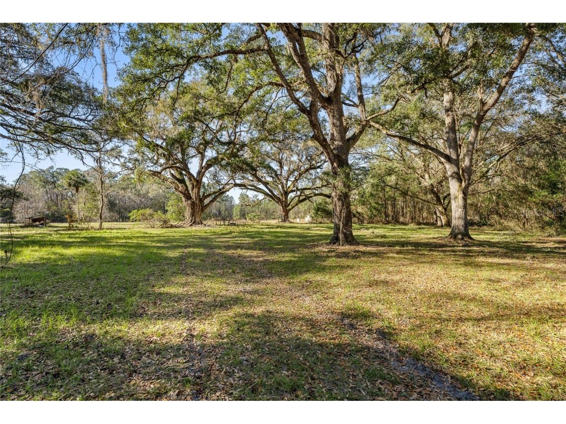 13717 NE 48th Place Gainesville FL 32641 GC528502 image1