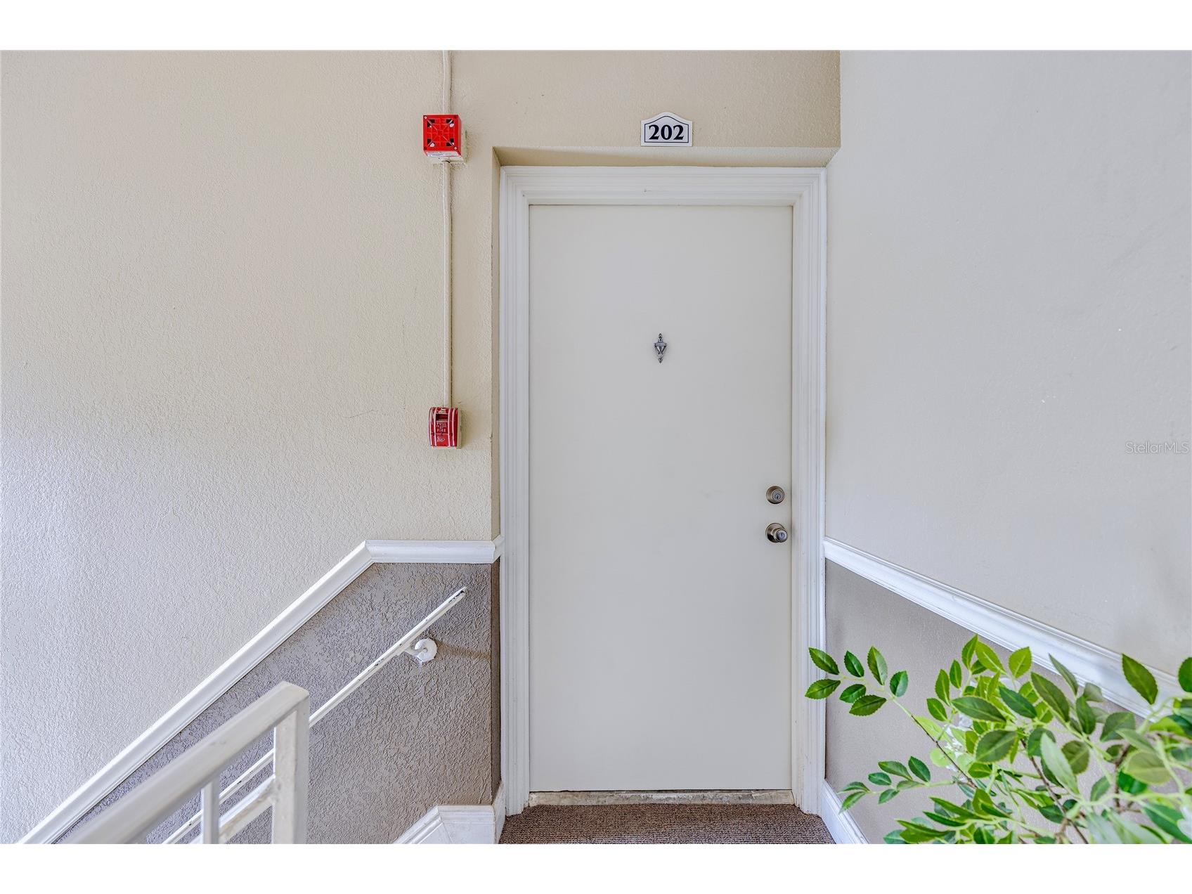 13718 Orange Sunset Drive #202 Tampa FL 33618 TB8407198 image2