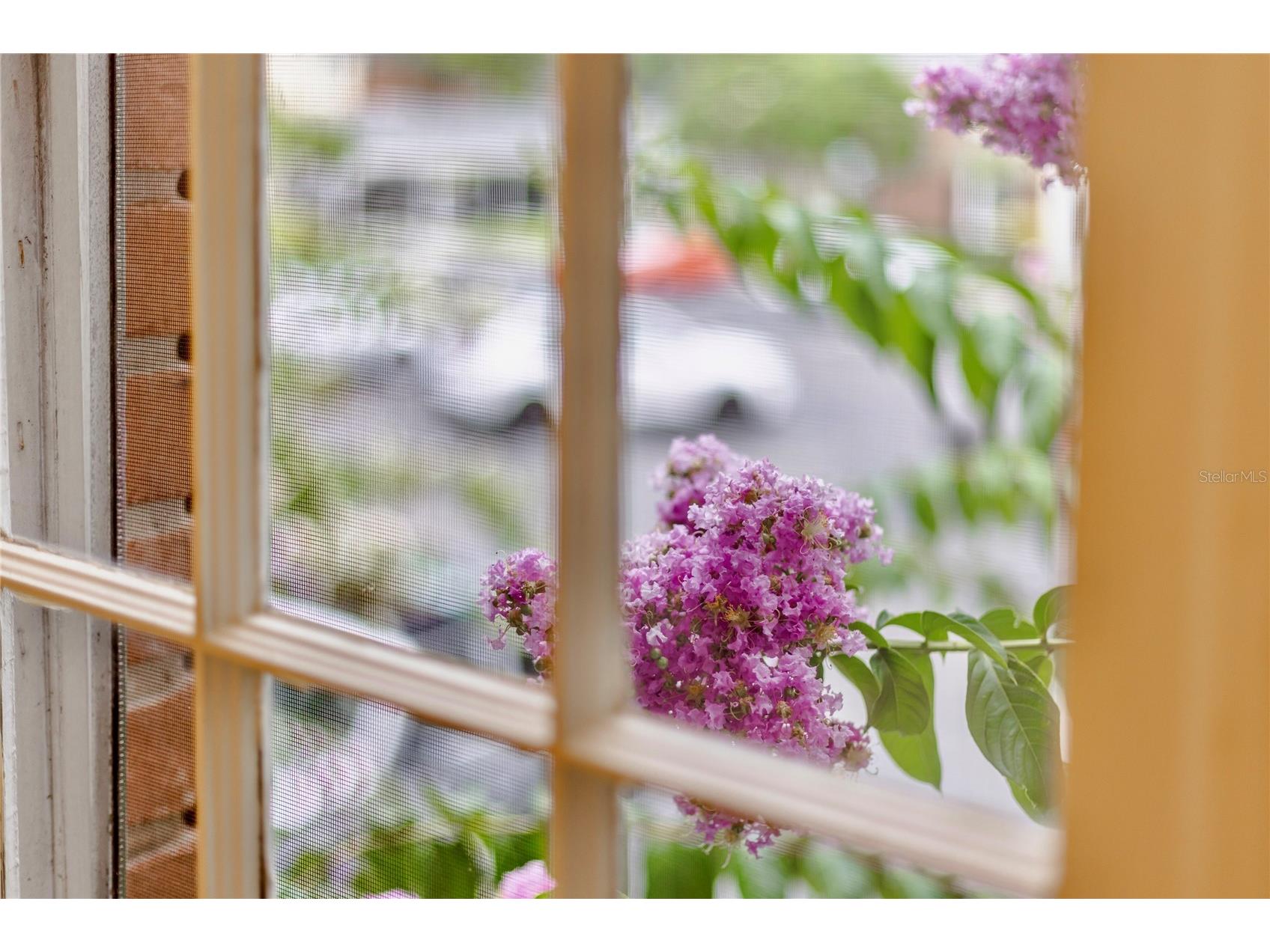 13718 Orange Sunset Drive #202 Tampa FL 33618 TB8407198 image20