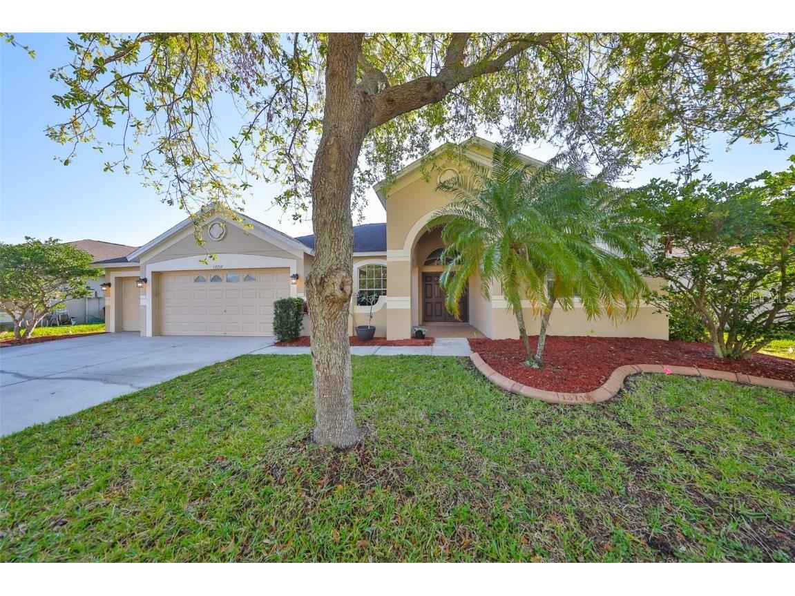 13719 Artesa Bell Drive Riverview FL 33579 TB8361411 image1