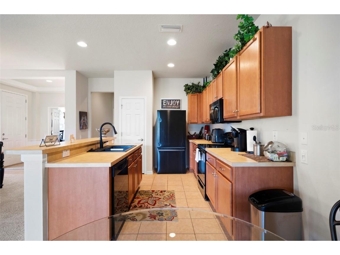 13719 Crest Lake Drive Hudson FL 34669 TB8434775 image12