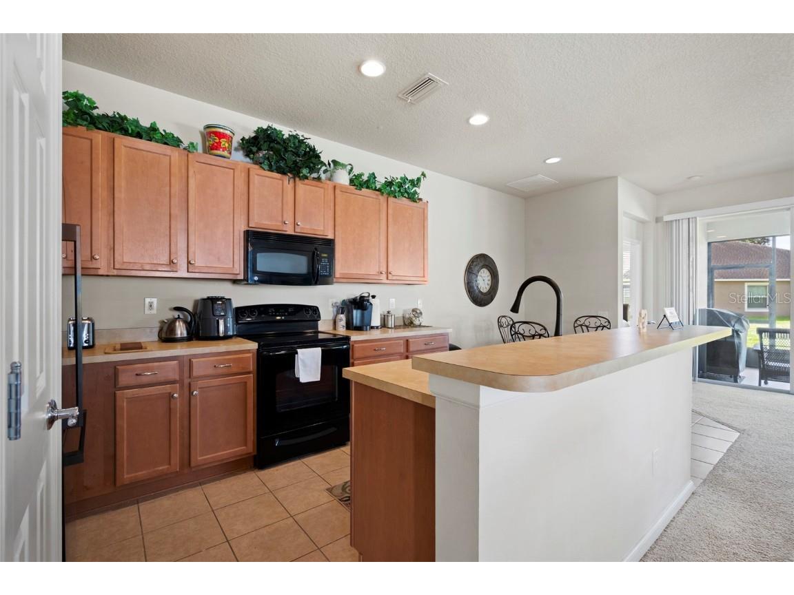 13719 Crest Lake Drive Hudson FL 34669 TB8434775 image14