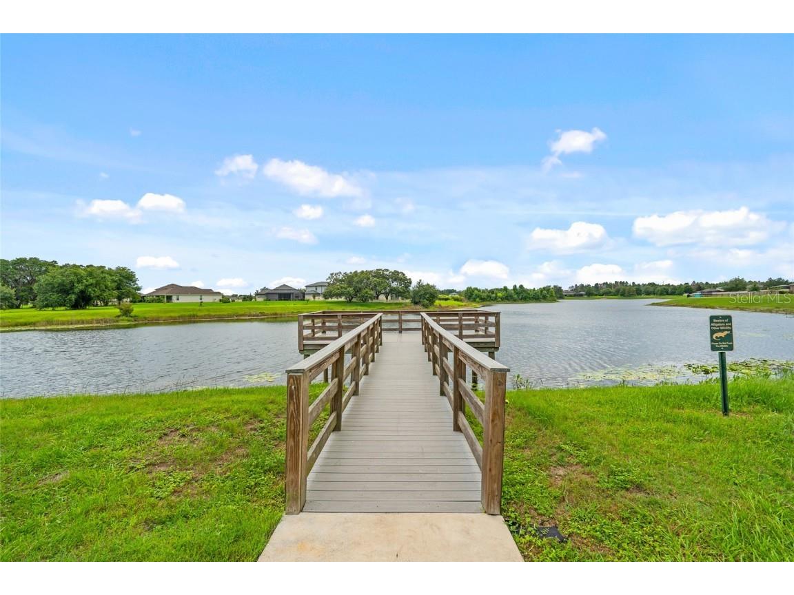 13719 Crest Lake Drive Hudson FL 34669 TB8434775 image28