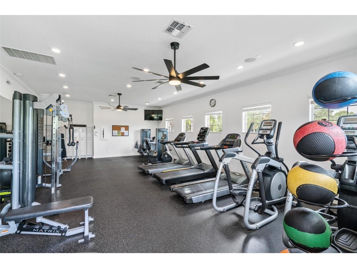 13719 Crest Lake Drive Hudson FL 34669 TB8434775 image32