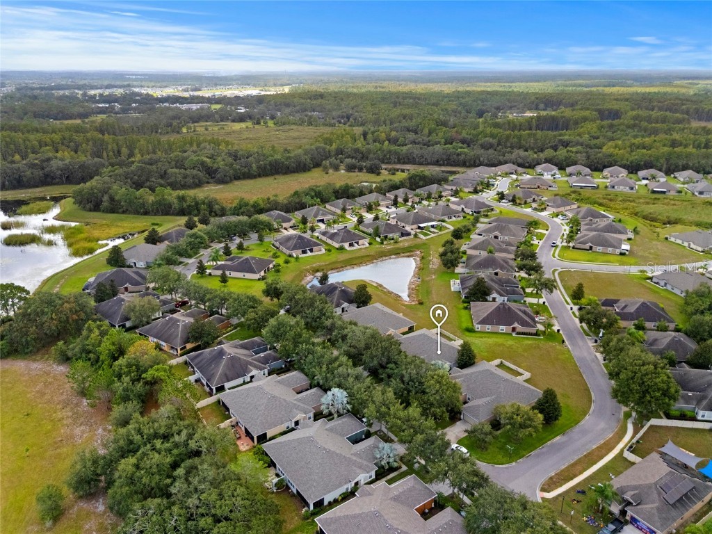 13719 Crest Lake Drive Hudson FL 34669 TB8434775 image37