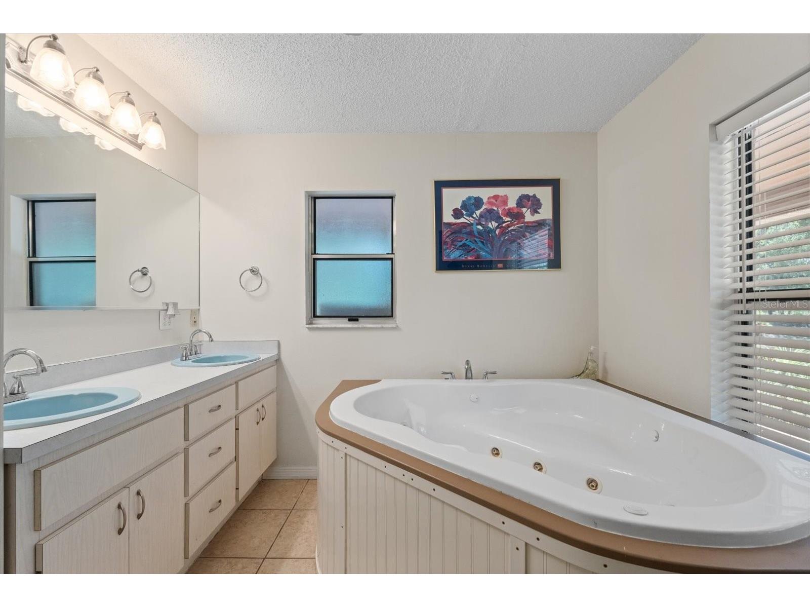 13719 Seminole Trail Wimauma FL 33598 A4677959 image23