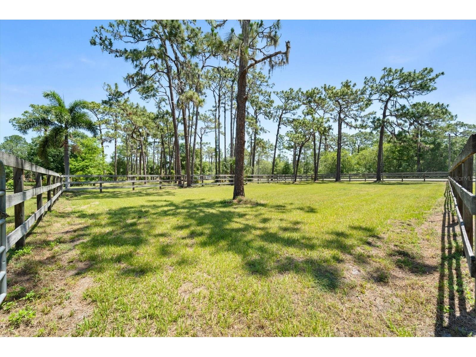 13719 Seminole Trail Wimauma FL 33598 A4677959 image39