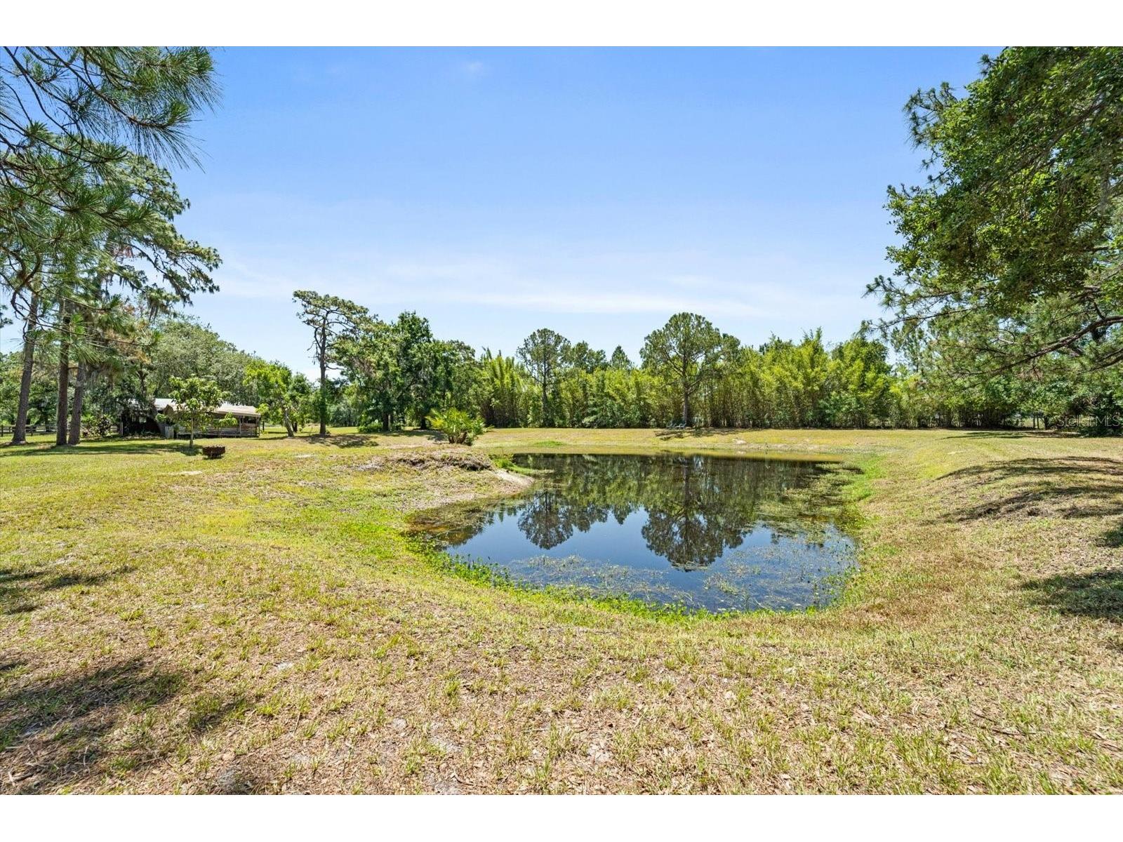 13719 Seminole Trail Wimauma FL 33598 A4677959 image51