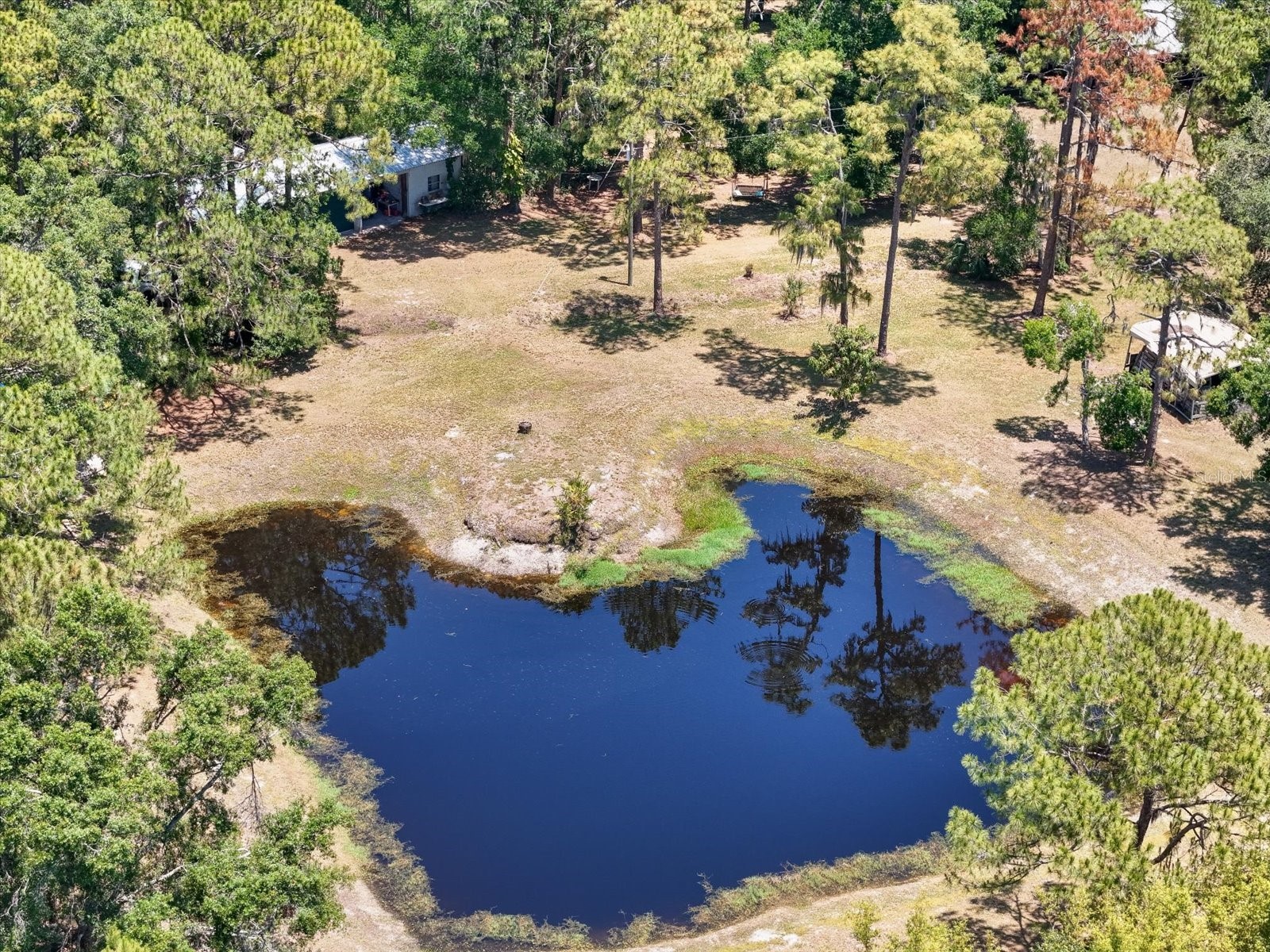 13719 Seminole Trail Wimauma FL 33598 A4677959 image60