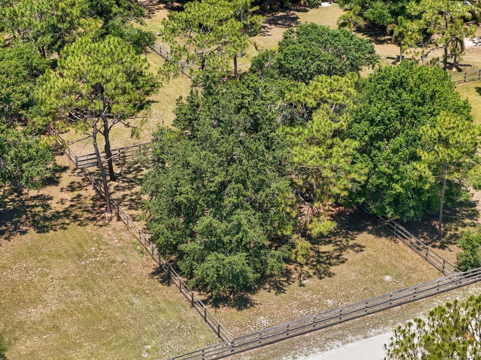 13719 Seminole Trail Wimauma FL 33598 A4677959 image65