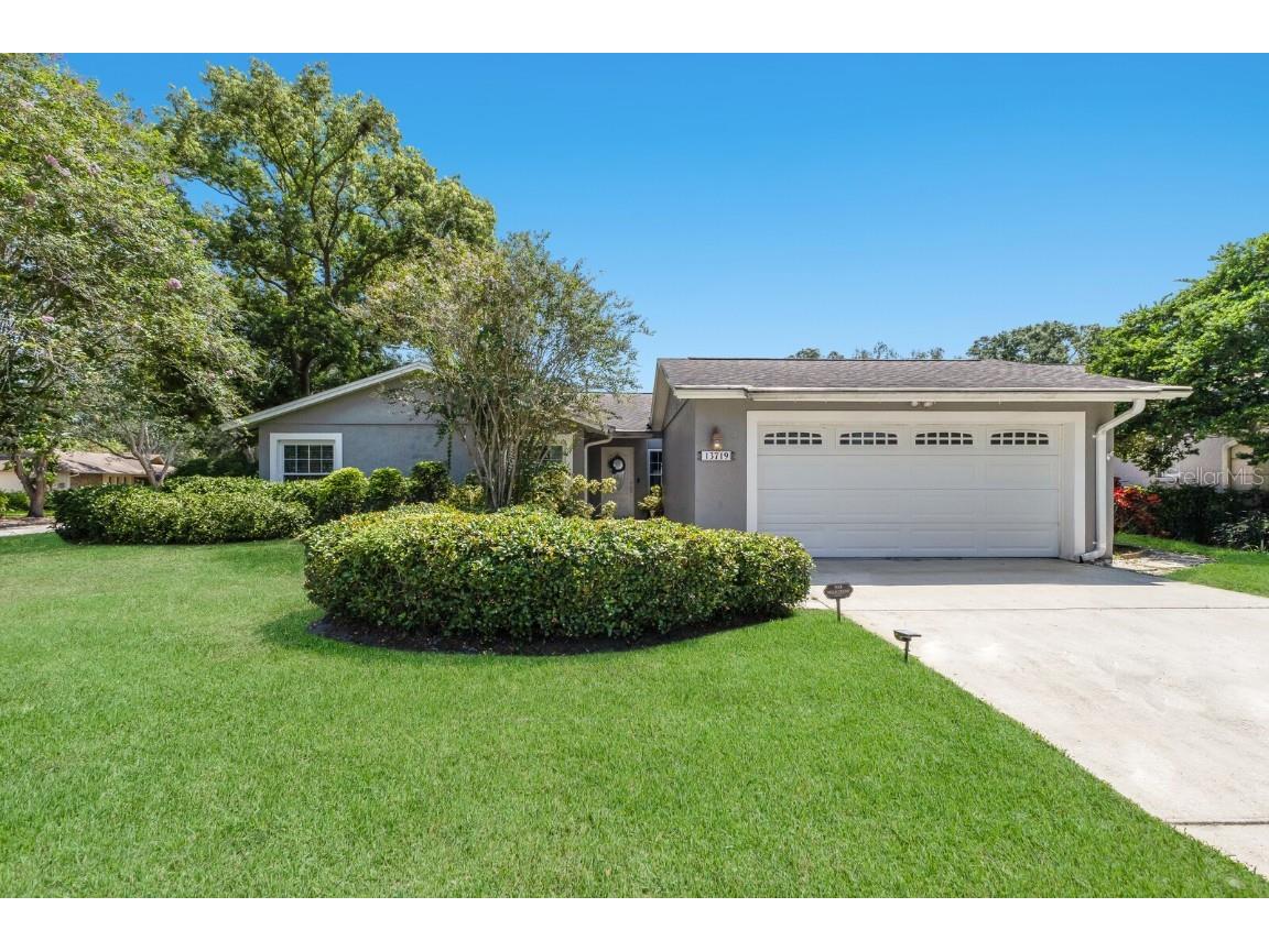 13719 Wilkes Drive Tampa FL 33618 A4663712 image2