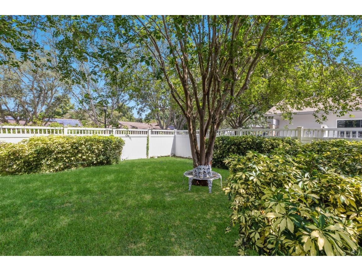 13719 Wilkes Drive Tampa FL 33618 A4663712 image30