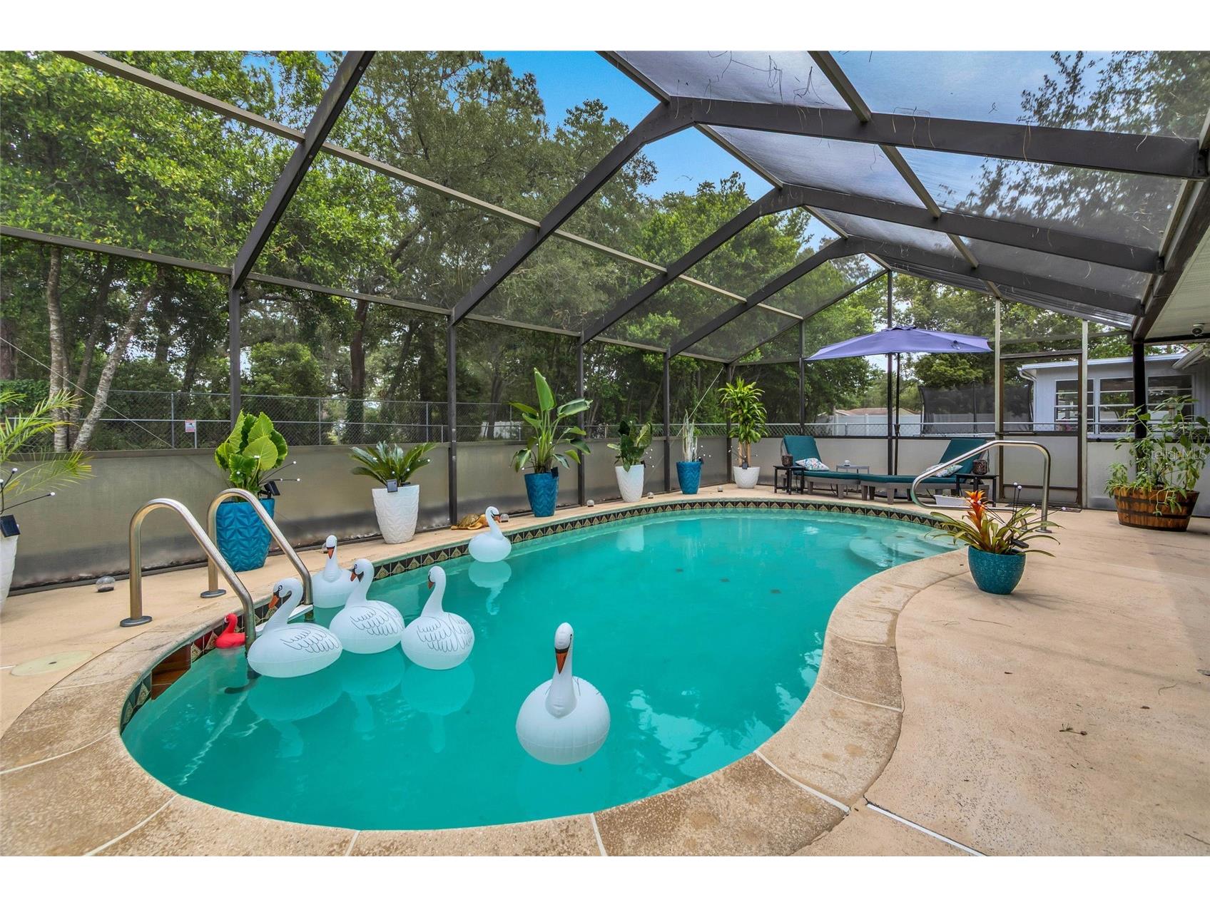 1372 Haulover Avenue Spring Hill FL 34608 W7886444 image3