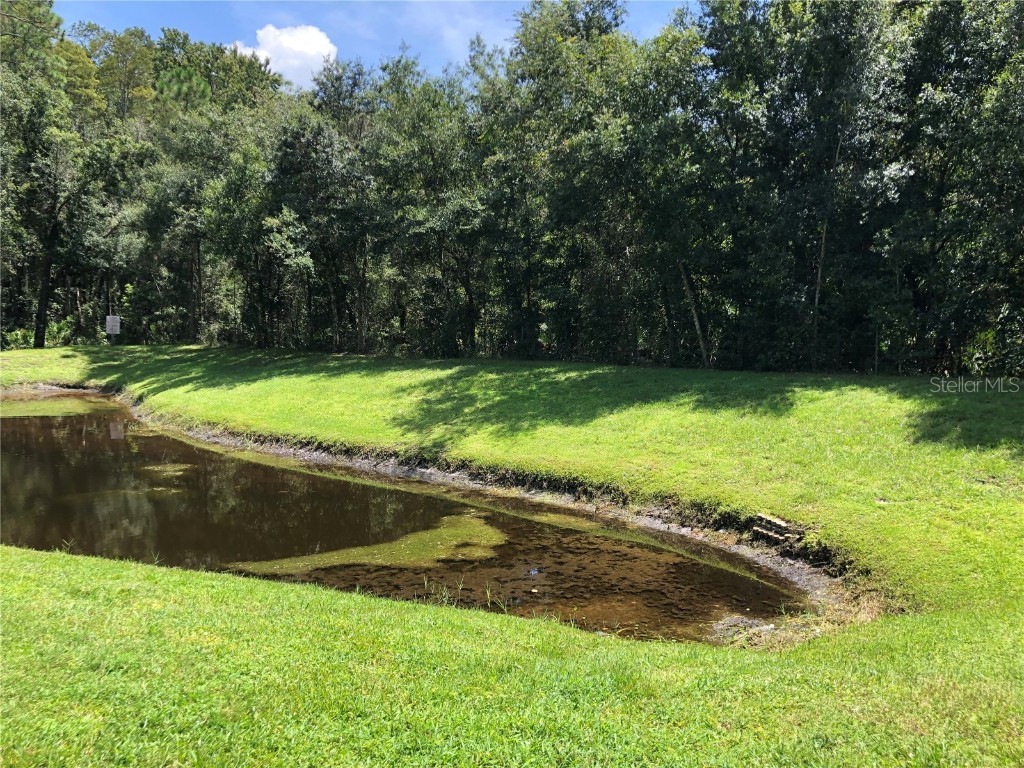 1372 Pine Ridge Circle E #F1 Tarpon Springs FL 34688 TB8447964 image21