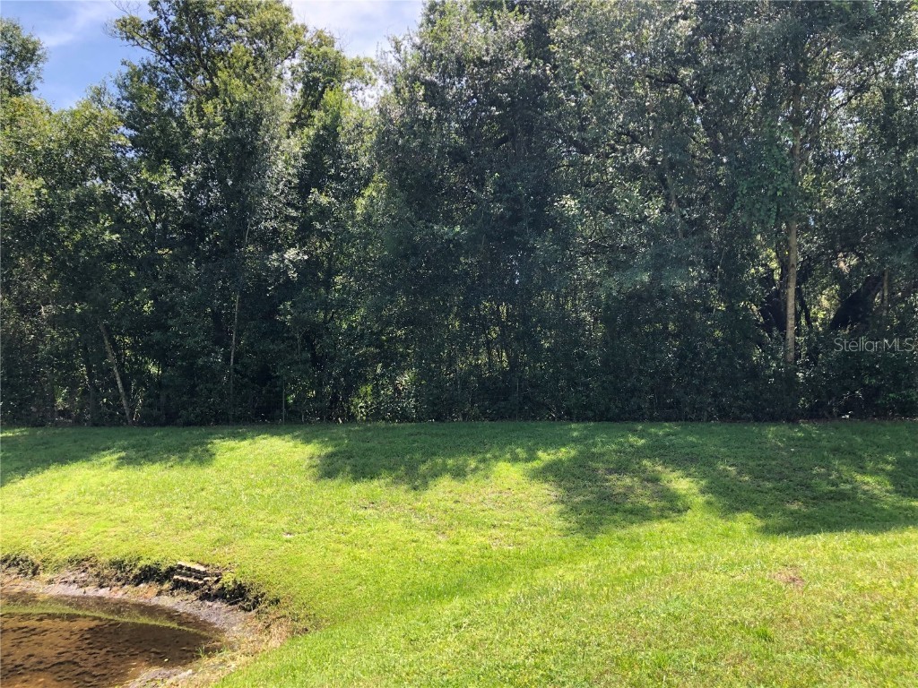 1372 Pine Ridge Circle E #F1 Tarpon Springs FL 34688 TB8447964 image22