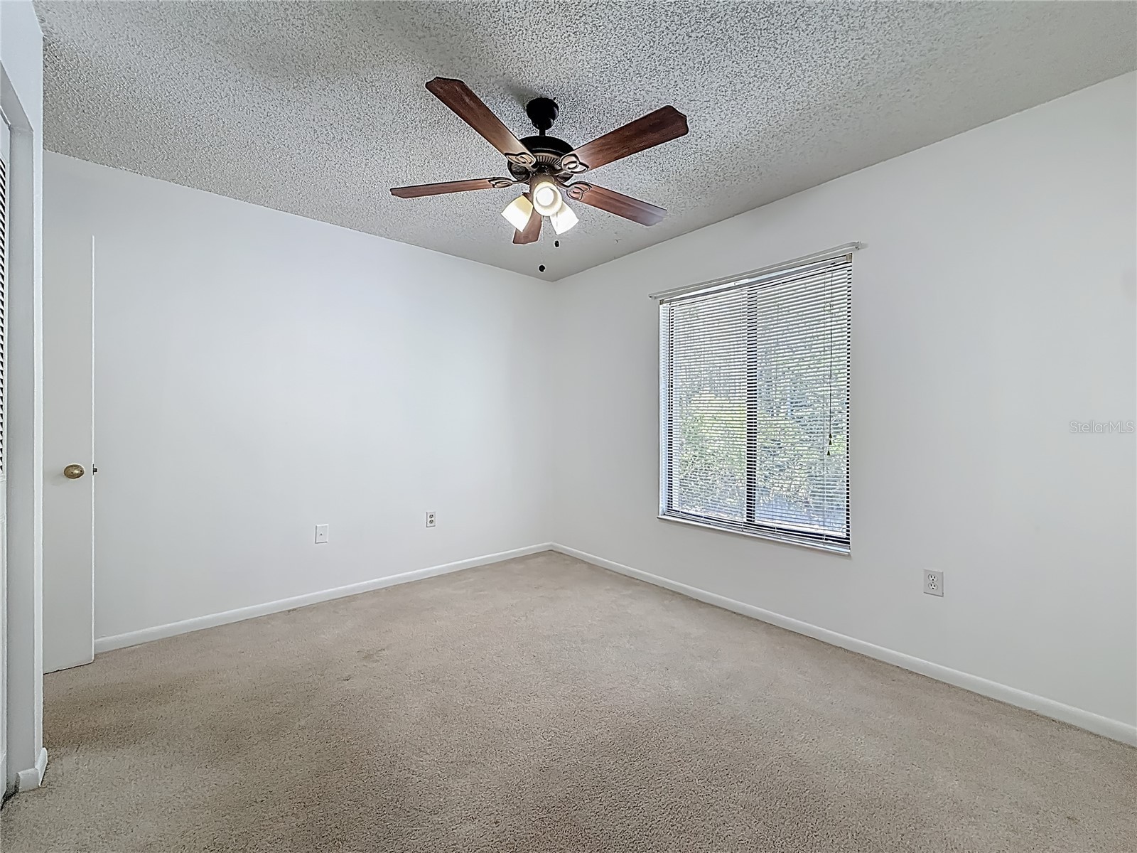 1372 Pine Ridge Circle E #H3 Tarpon Springs FL 34688 TB8493883 image22